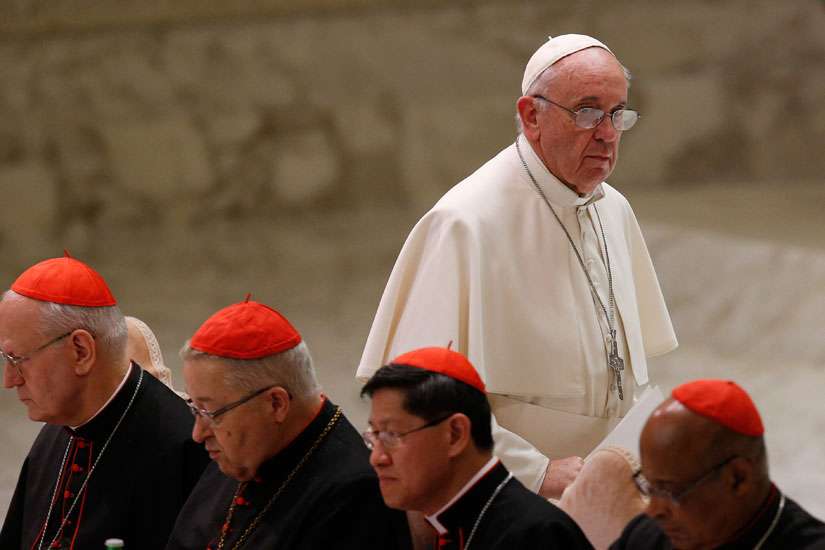 Final report to be a general guide, not hard answers, says cardinal