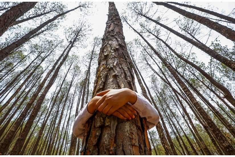 Greenbacks and the green economy: Ecology is good business
