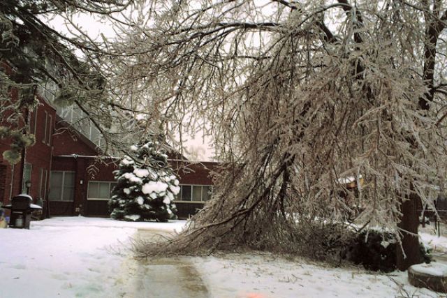 Ice storm strengthens parish unity