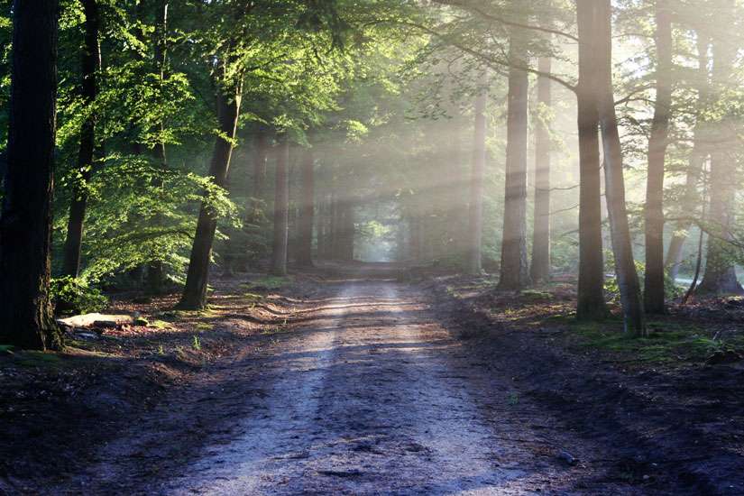 Mercy is the path we need to choose