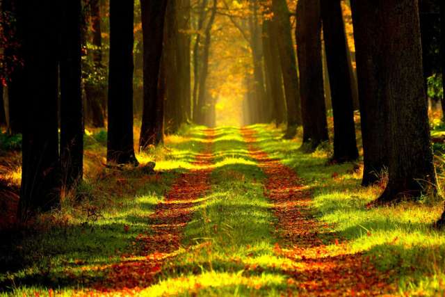 Sharing in God’s love will put us on the right track