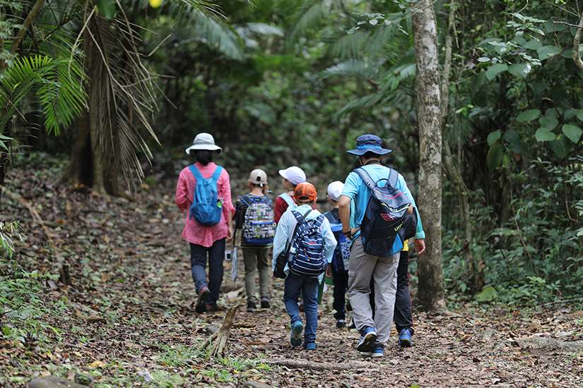World Youth Day 'manifesto' makes pledge to environment