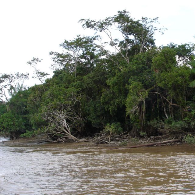 At least 13 dead as boat carrying pilgrims capsizes in Amazon 