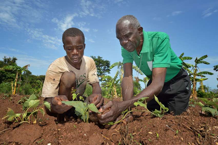 Displaced near South Sudanese border live on mangoes, sweet potatoes