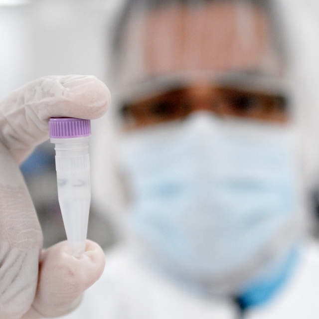 Vatican, biotech firm host congress to promote adult stem-cell therapy 