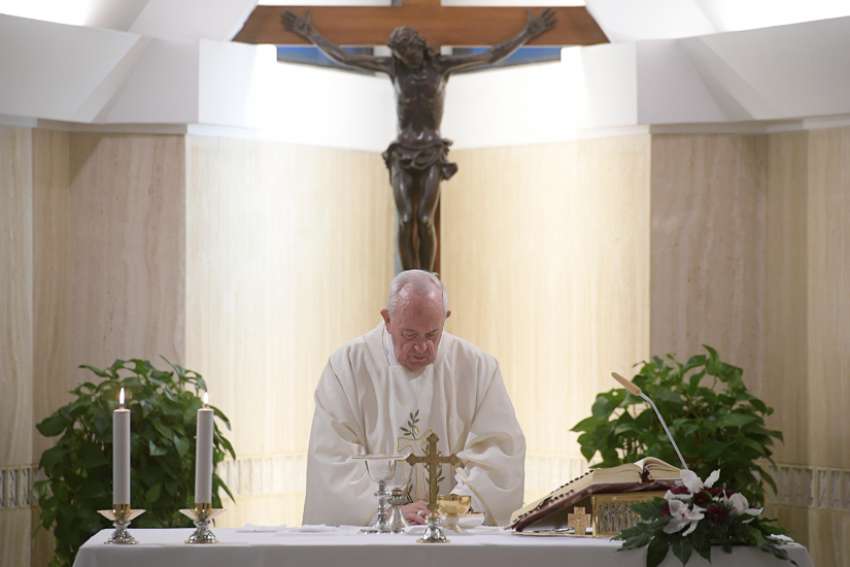 Pope Francis: Great faith sprouts from small, humble actions