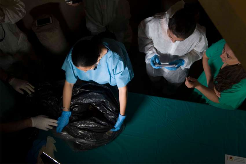 Missing woman's remains not found among bones