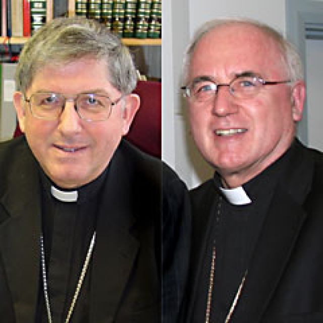 Visitator to report Irish Church near collapse