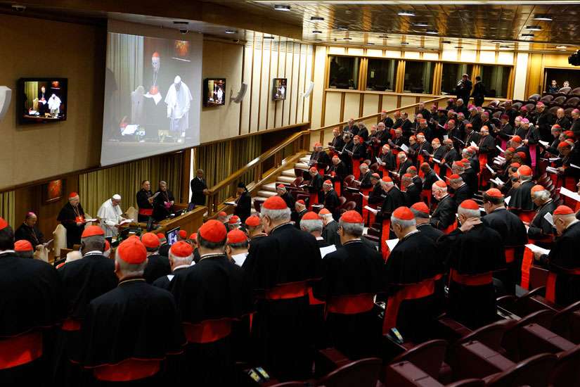 Study day on synod did not aim to change doctrine, spokesman says