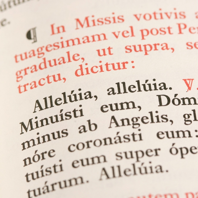 Mass translations are a challenge in every language, official says 