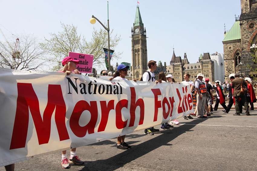 Catholic organizations scramble in wake of new 'bubble zone' law
