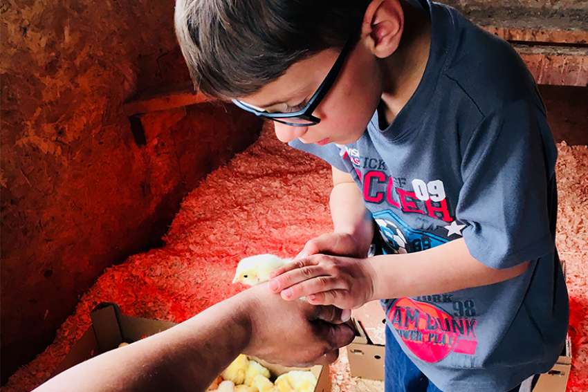 The good Earth: Family protects creation with sustainable farming