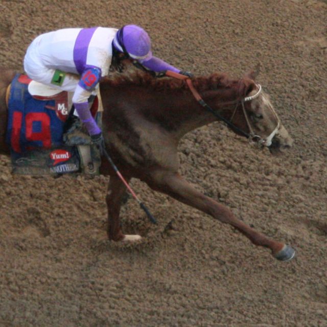 Pony up for a good memory at the Triple Crown