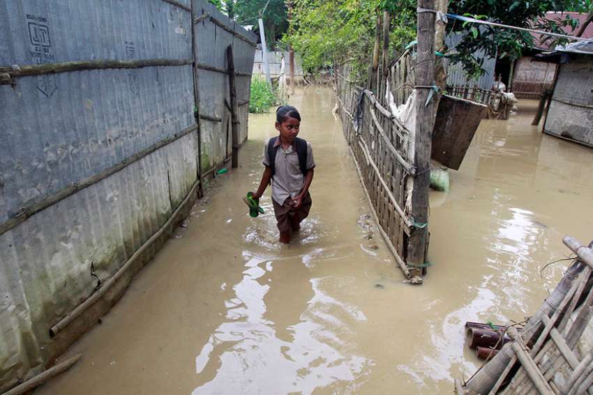 Pope offers prayers for flood victims in U.S., southern Asia