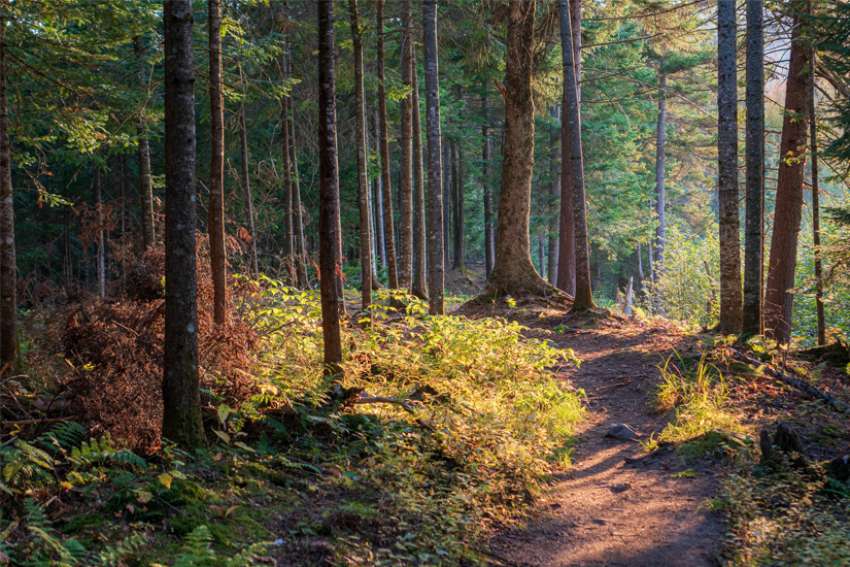 Trust ‘what is’ to take us where we need to go