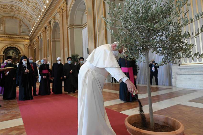 Pope Francis, faith leaders jointly urge nations to care for creation