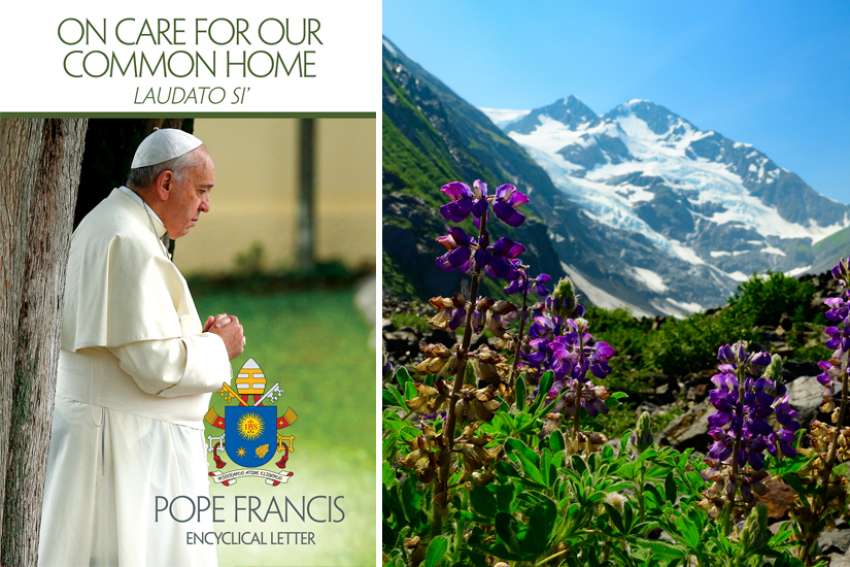 Year-long program created for encyclical