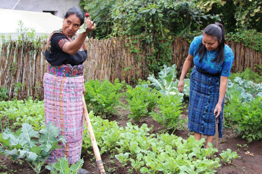 Program helps Guatemalans fight child malnutrition with gardens, hygiene