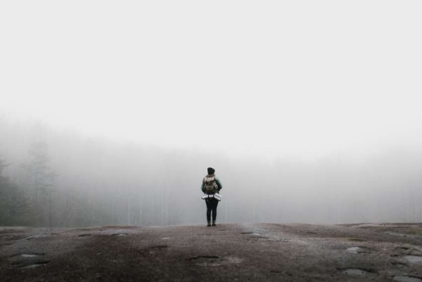 God's Word on Sunday: The true Lord seeks those who are lost