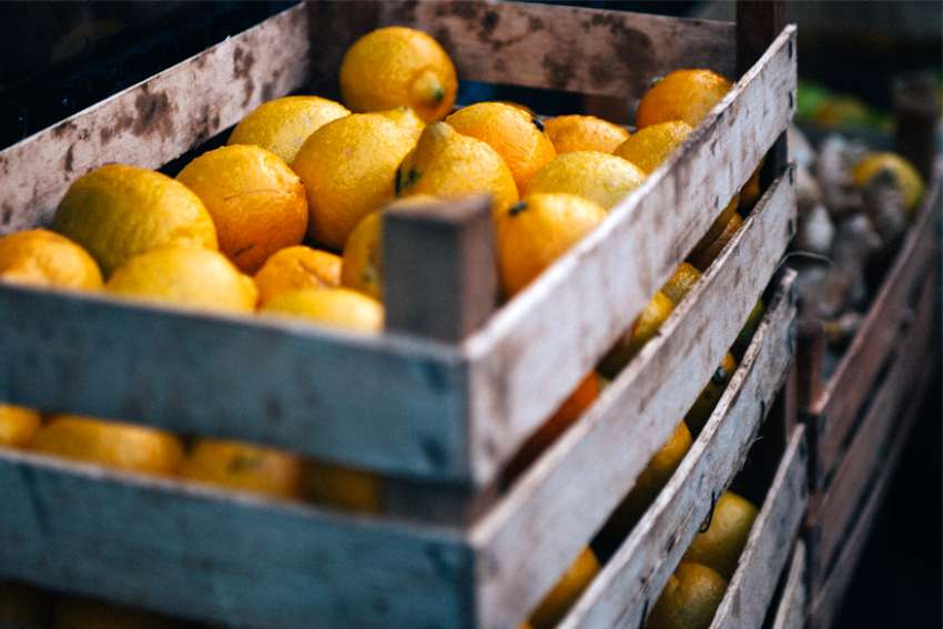 Harry McAvoy: Creating purpose from life’s lemons