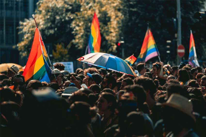 Social contagion and trans propaganda