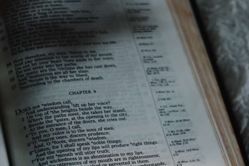 God's Word on Sunday: Wisdom is found in our daily struggles