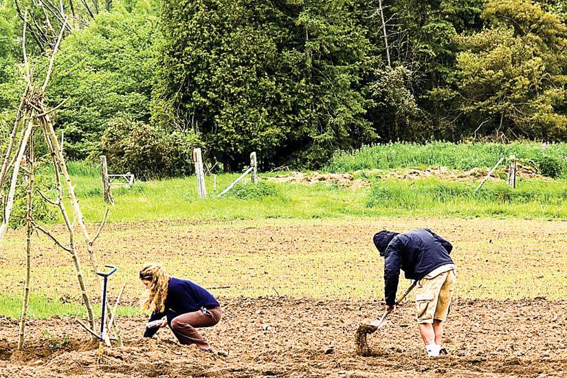 Farming locally, helping globally