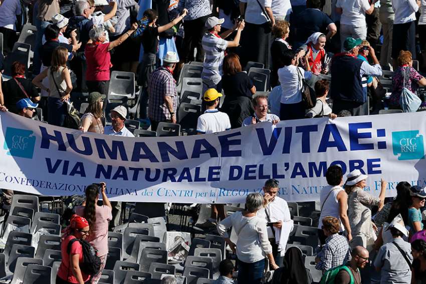 Theologians in Italy studying development of 'Humanae Vitae'