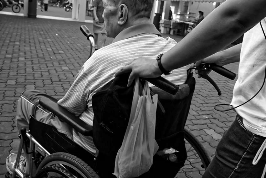 A fully-funded palliative plan saves money, report says