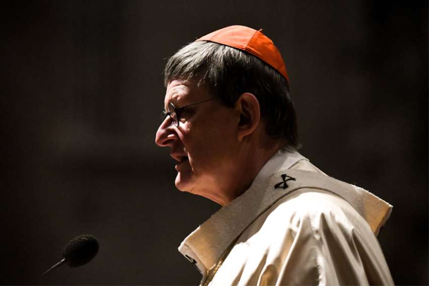 Lawyer: New report on abuse in Cologne will incriminate church officials