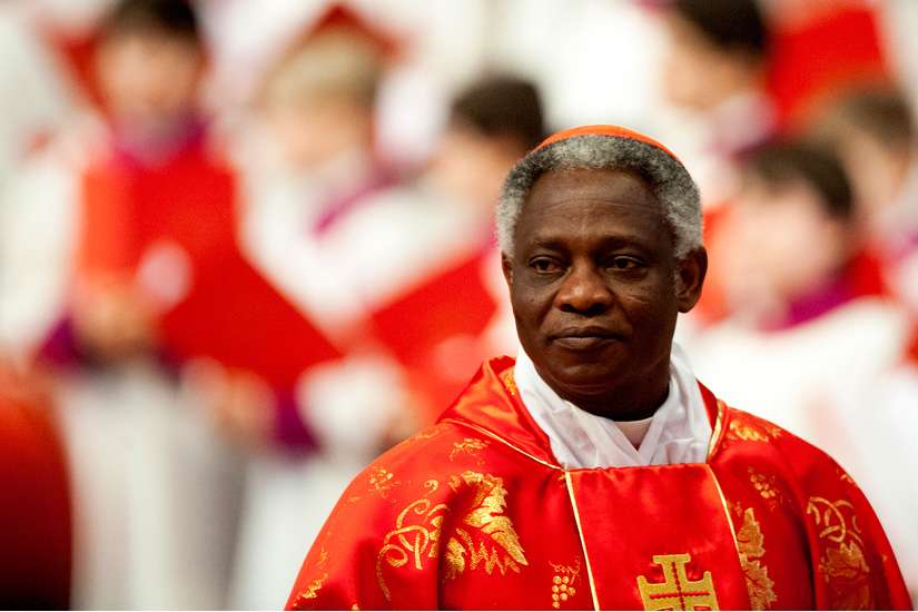 Protecting people means protecting the planet, Turkson says