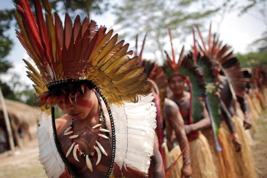 Saving the Amazon: A fight for life
