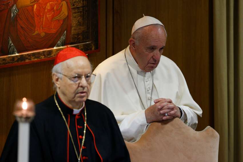 Cardinal Baldisseri explains how Amazon synod works