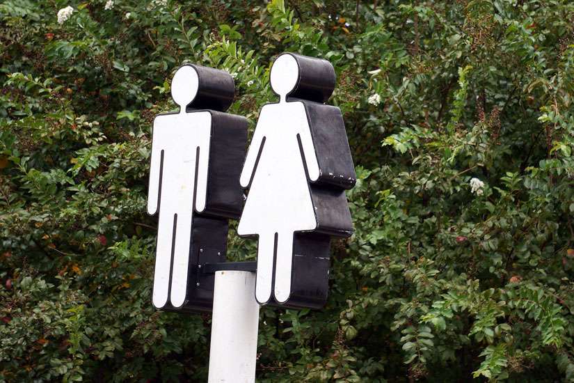 Vatican paper: Ideology can slant scientific views of difference in sexes