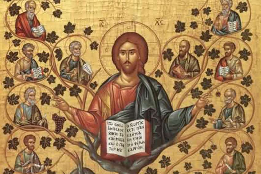 God's word on Sunday: Christ nourishes our life on the vine