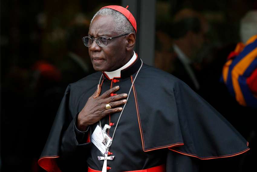 Cardinal Sarah warns against opposing the pope