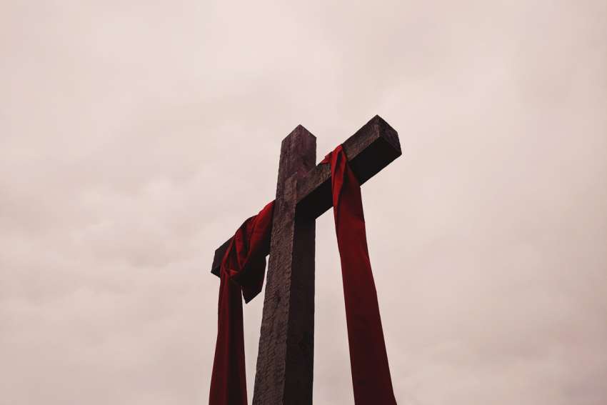 God's Word on Sunday: Jesus suffered to heal, transform humanity