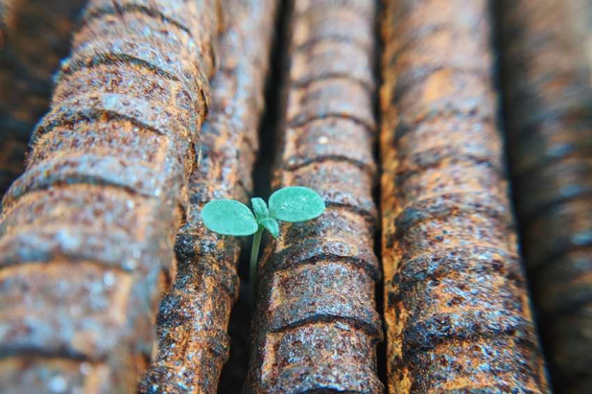 God's Word on Sunday: Hope gives us the strength to endure