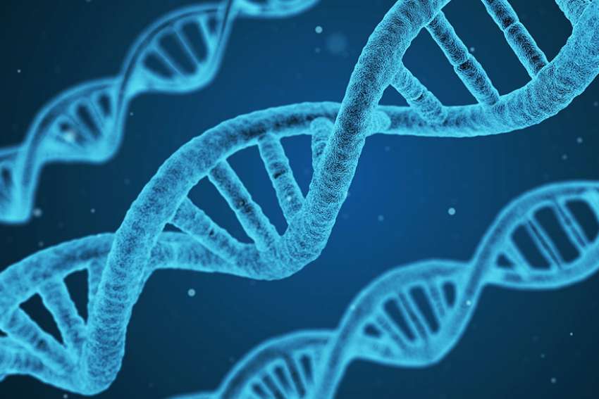 Cathy Majtenyi: Gene editing is heading down a slippery slope