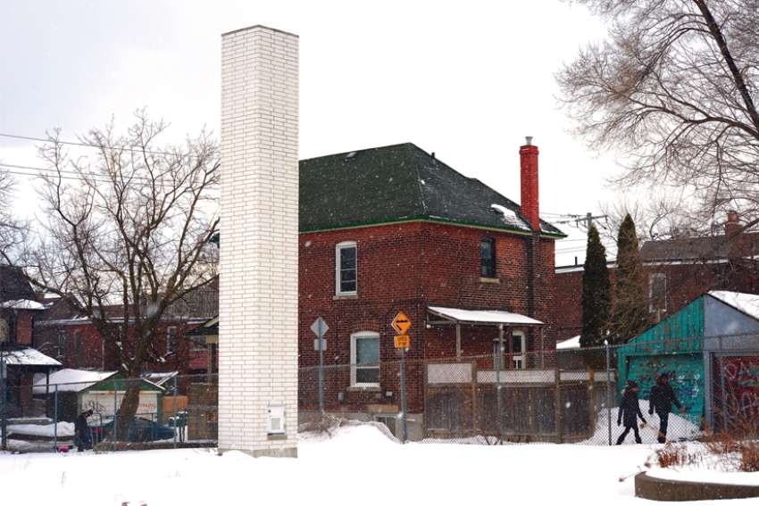 Chimney swifts occupy TCDSB property