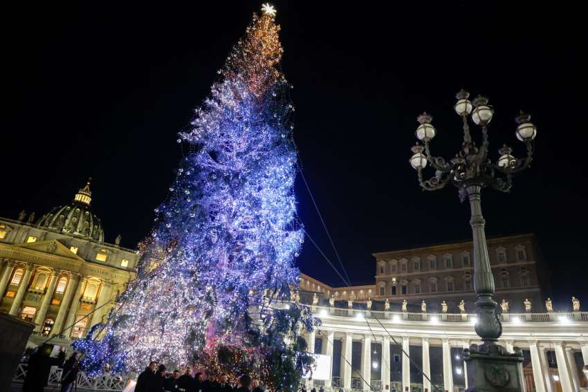 Christmas light shines amidst the suffering