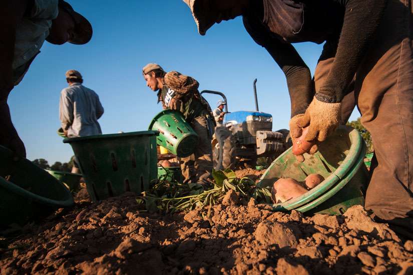 Those exploiting cheap labour are ‘leeches,’ Pope says
