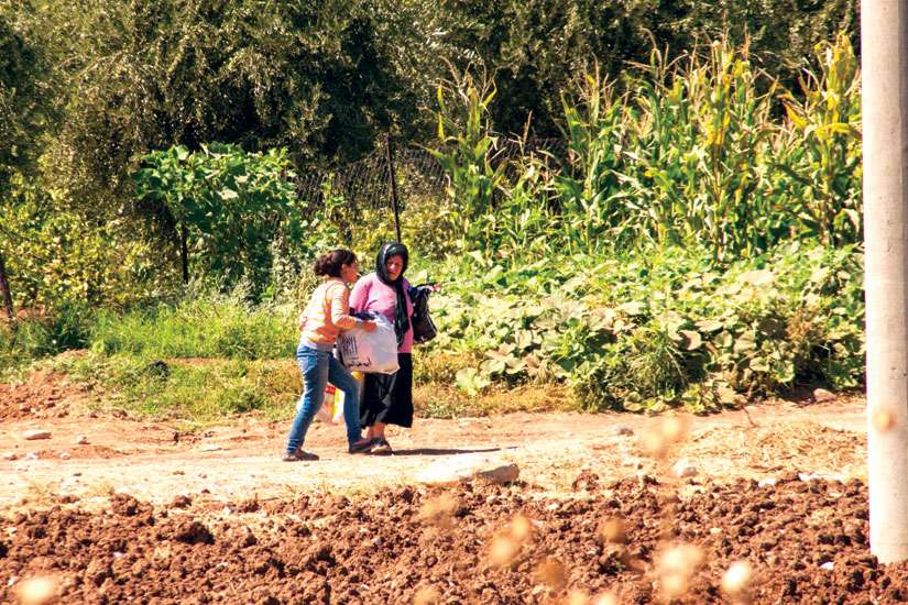 Churches ahead of government in resettling Syrian refugees