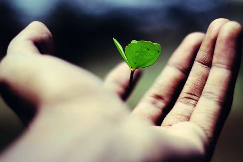God's Word on Sunday: A little digging reveals news full of hope