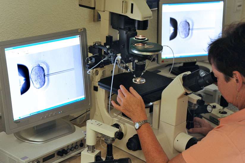 England mulls legalization of in vitro technique giving baby DNA of three parents