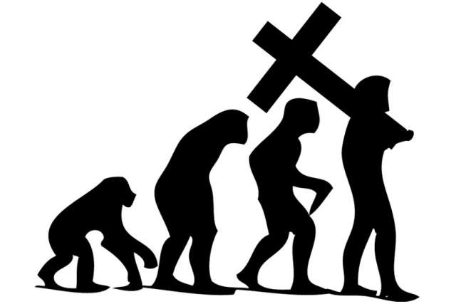 Evolution, not stagnation