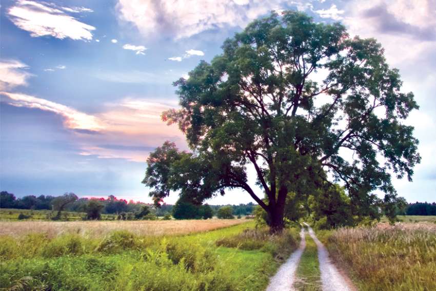 Retreat explores powers within our natural world