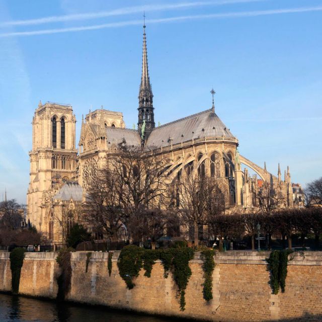 Police evacuate Notre Dame Cathedral after man commits suicide 