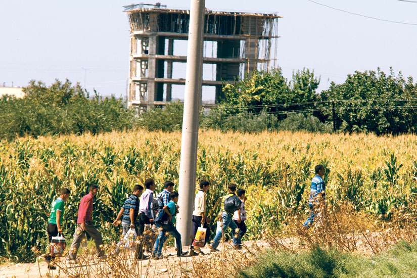 Sponsors frustrated by delays keeping Mideast refugees out of Canada’s reach