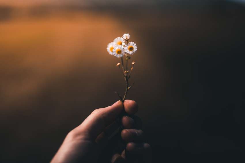 Leah Perrault: Soften our hearts to believe in hope